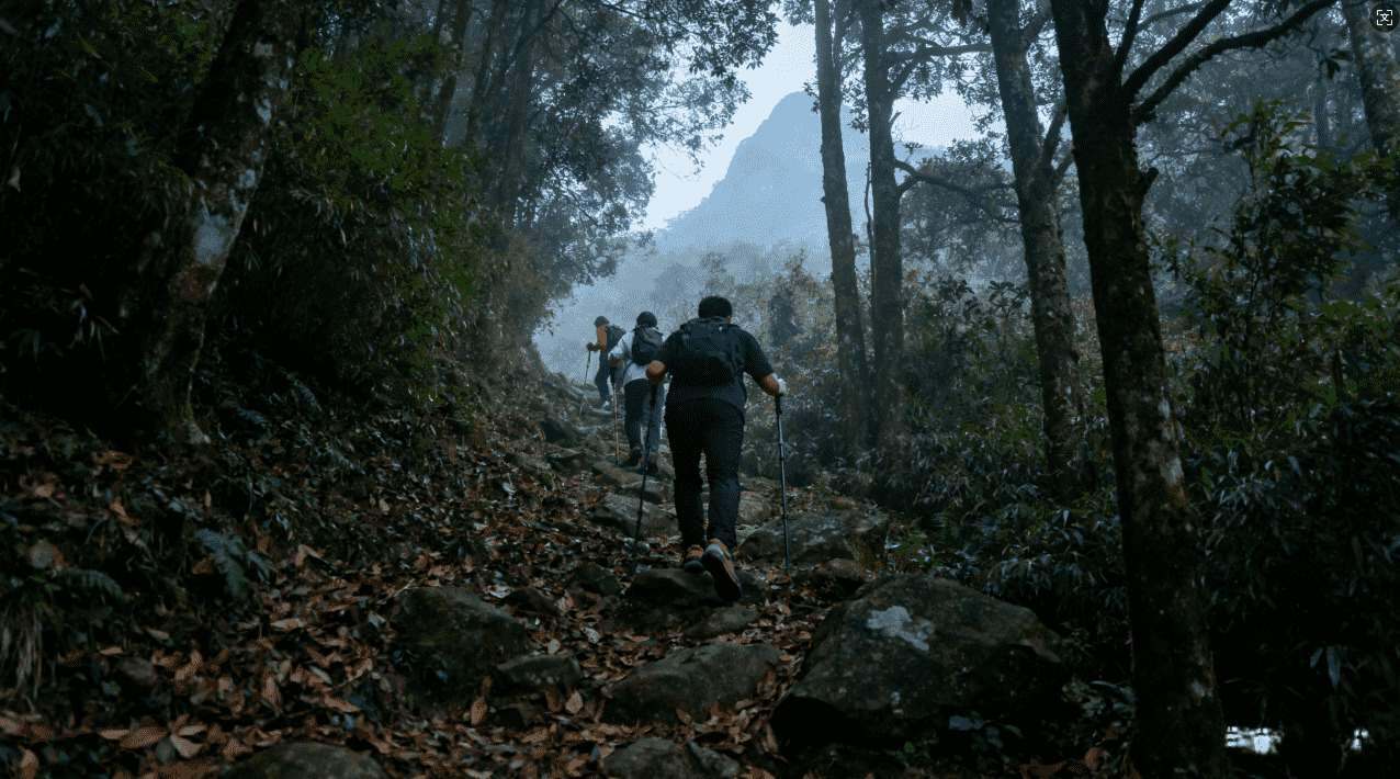 破解雷霆VP加速器的方法全揭秘